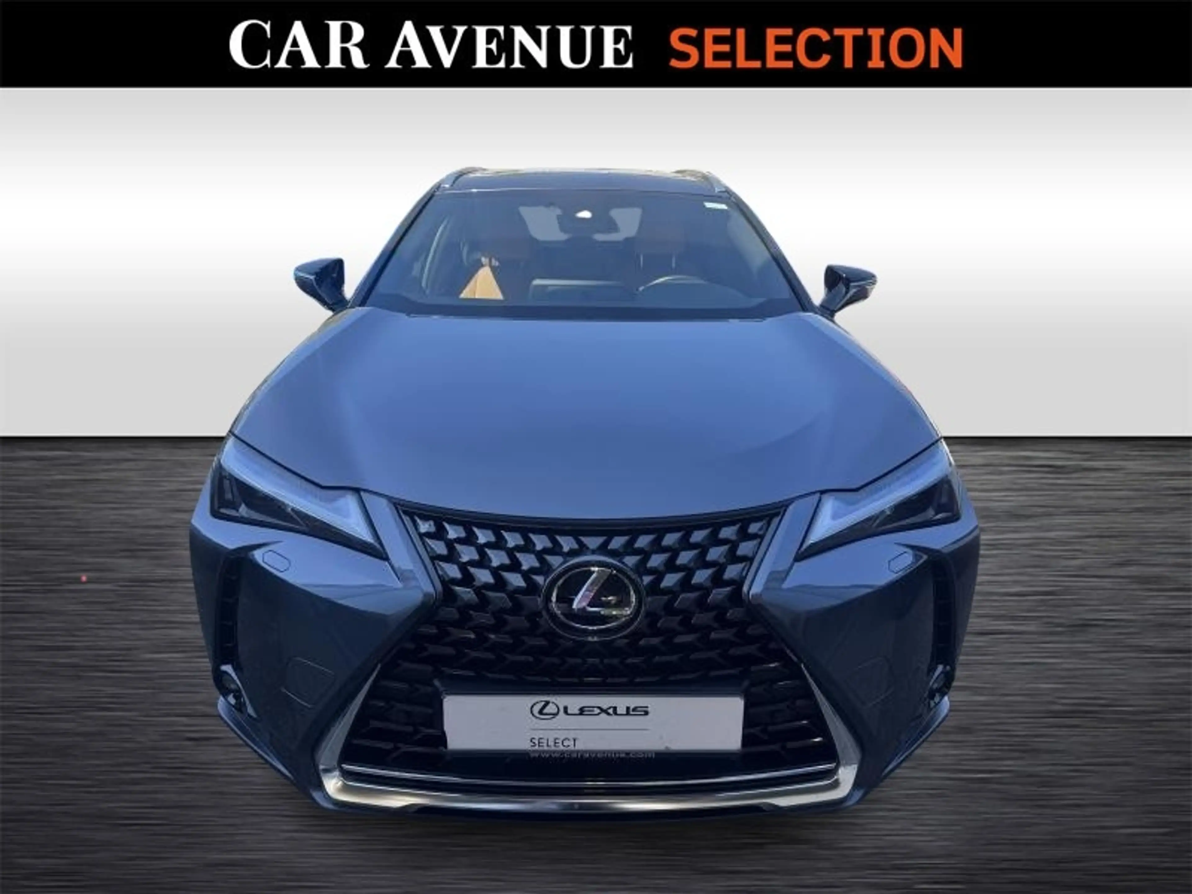 Lexus UX 250h 250h Executive 2.0 HSD — photo 2