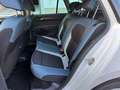 Skoda Fabia Wagon 1.4 tdi Active 75cv - PDC - NEOPATENTATI Bianco - thumbnail 13
