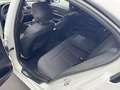 BMW 316 316d Sportline Weiß - thumbnail 13