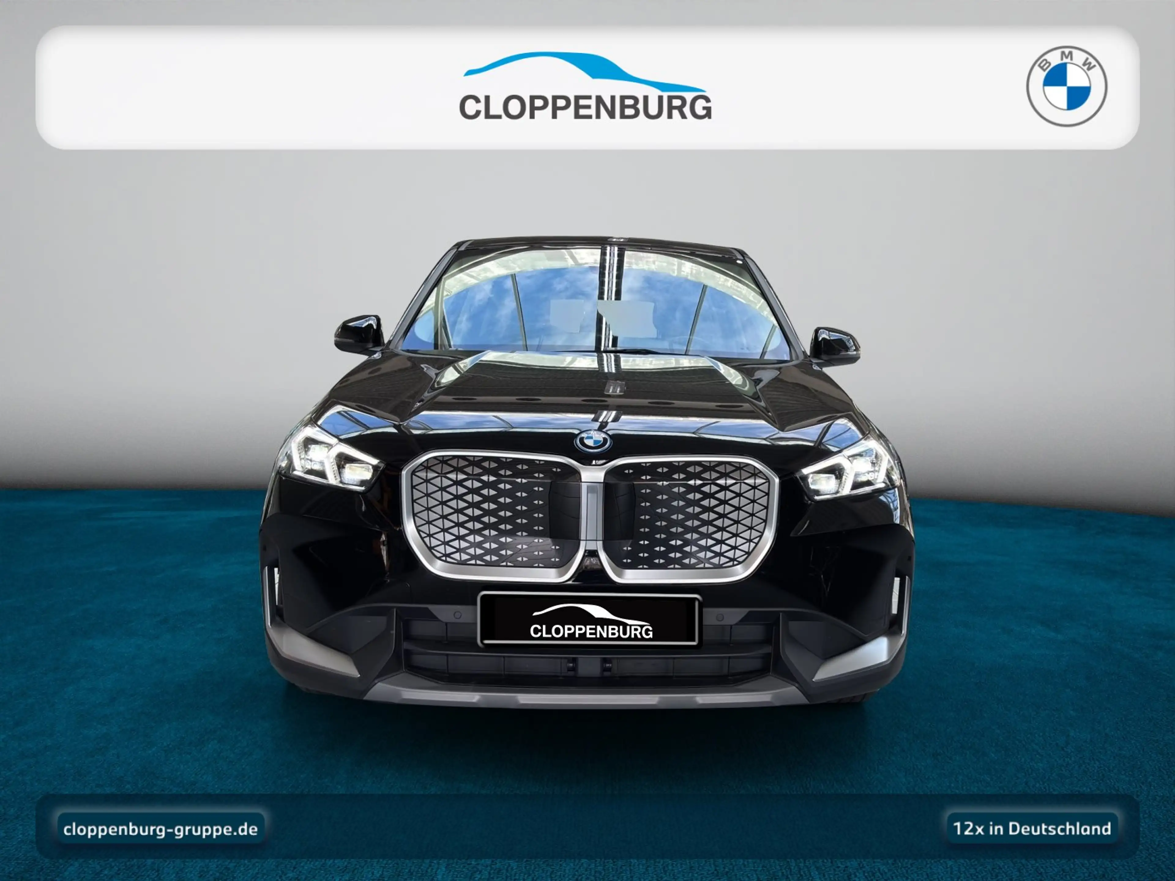 BMW iX1 xDrive30 Navi+SHZ+KeyGO+HiFi+Fernl.Ass+LED — photo 10