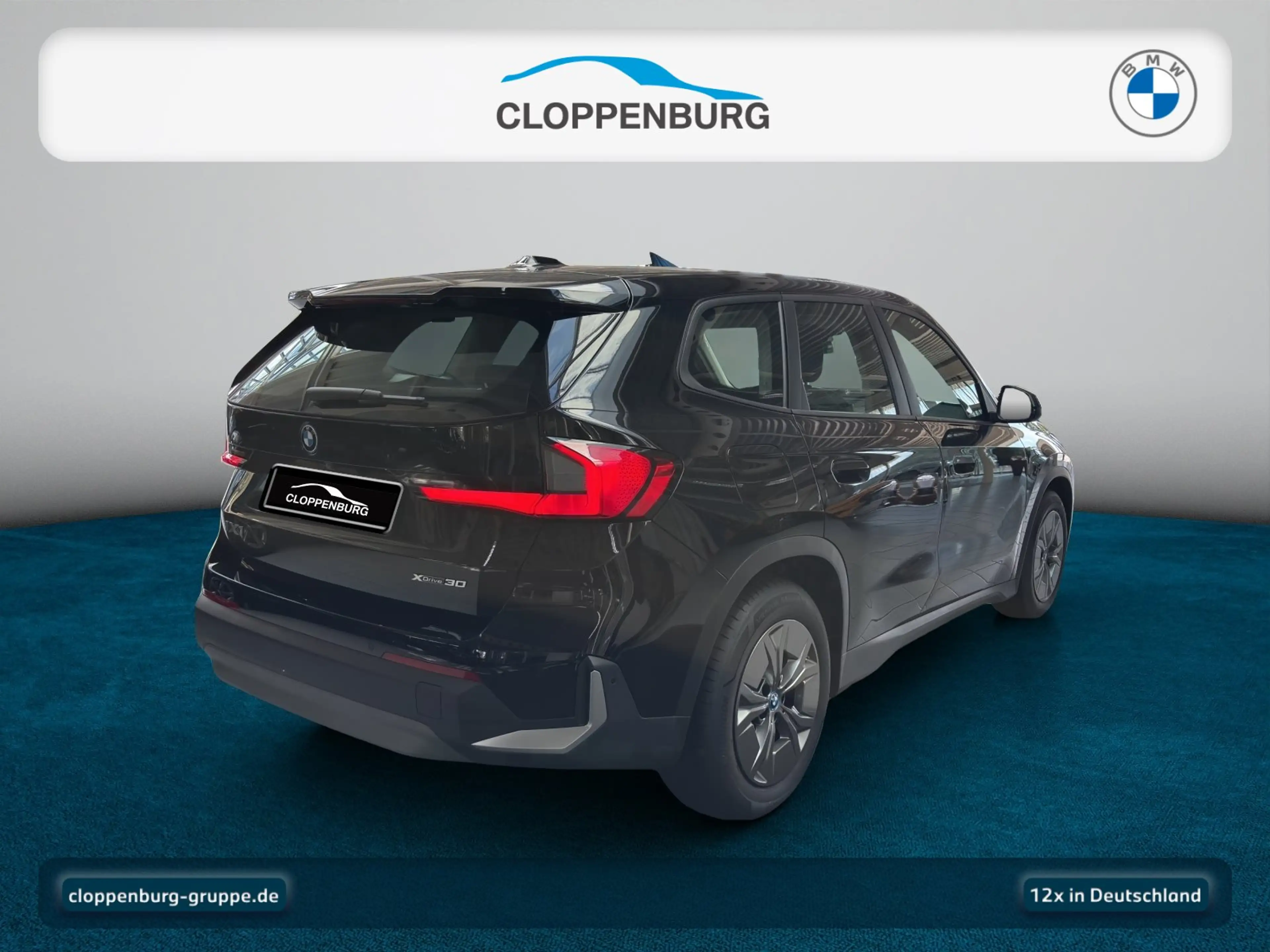 BMW iX1 xDrive30 Navi+SHZ+KeyGO+HiFi+Fernl.Ass+LED — photo 7