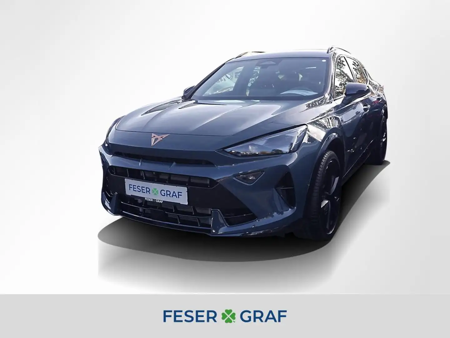 CUPRA Formentor VZ 2.0 TSI 4D Black Edition DSG AHK Blau - 1