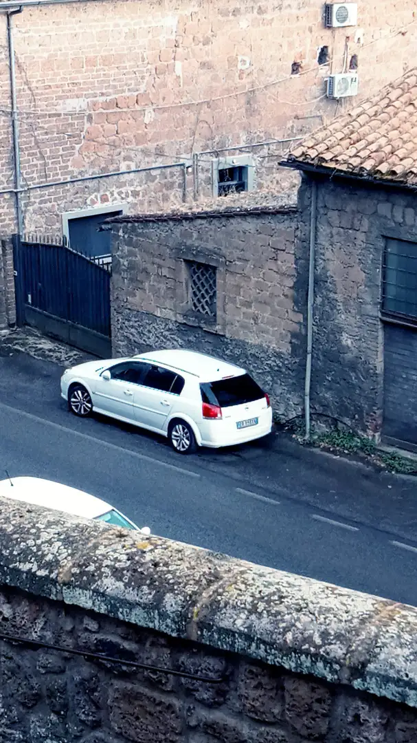 Opel Signum Signum 2005 1.9 cdti Elegance c/CL,pelle Weiß - 1