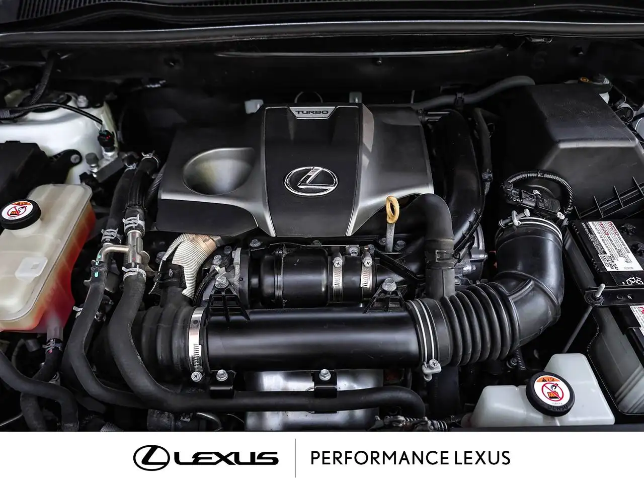 Lexus NX снимка Lexus NX