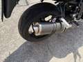 Triumph Sonstige - thumbnail 2
