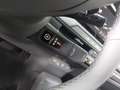 Kia EV3 EV3 81.4 KWH EARTH MJ25 WINTER-CONNECT BUSINESS UP Gris - thumbnail 13