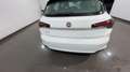 Fiat Tipo Tipo hatchback 5p 1.0 City Life 100cv Blanc - thumbnail 5