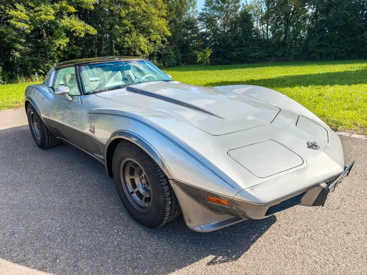 Chevrolet Corvette Stingray C3 5.7 25 Anniversary, foto 1