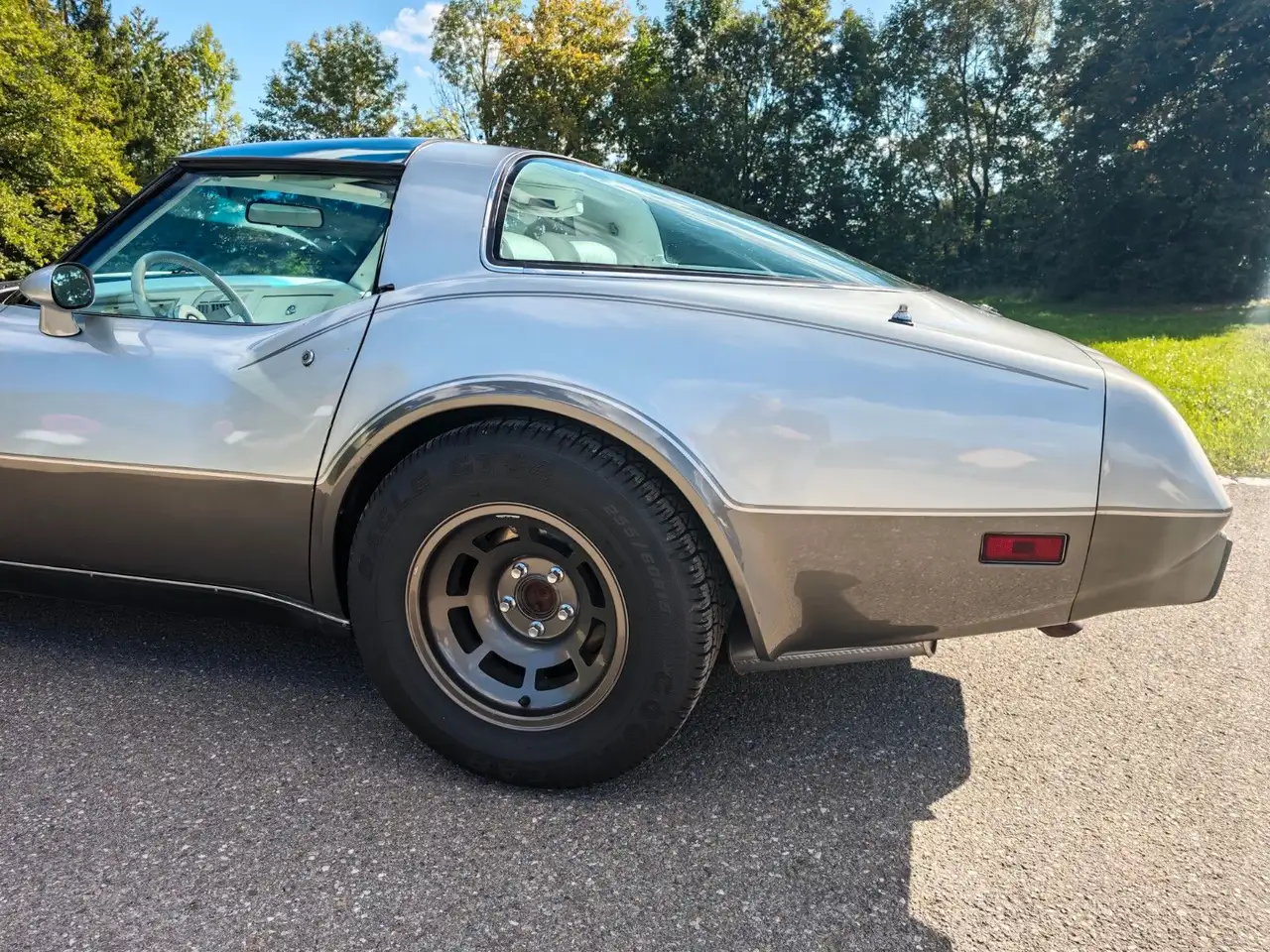 Chevrolet Corvette Stingray C3 5.7 25 Anniversary, foto 12
