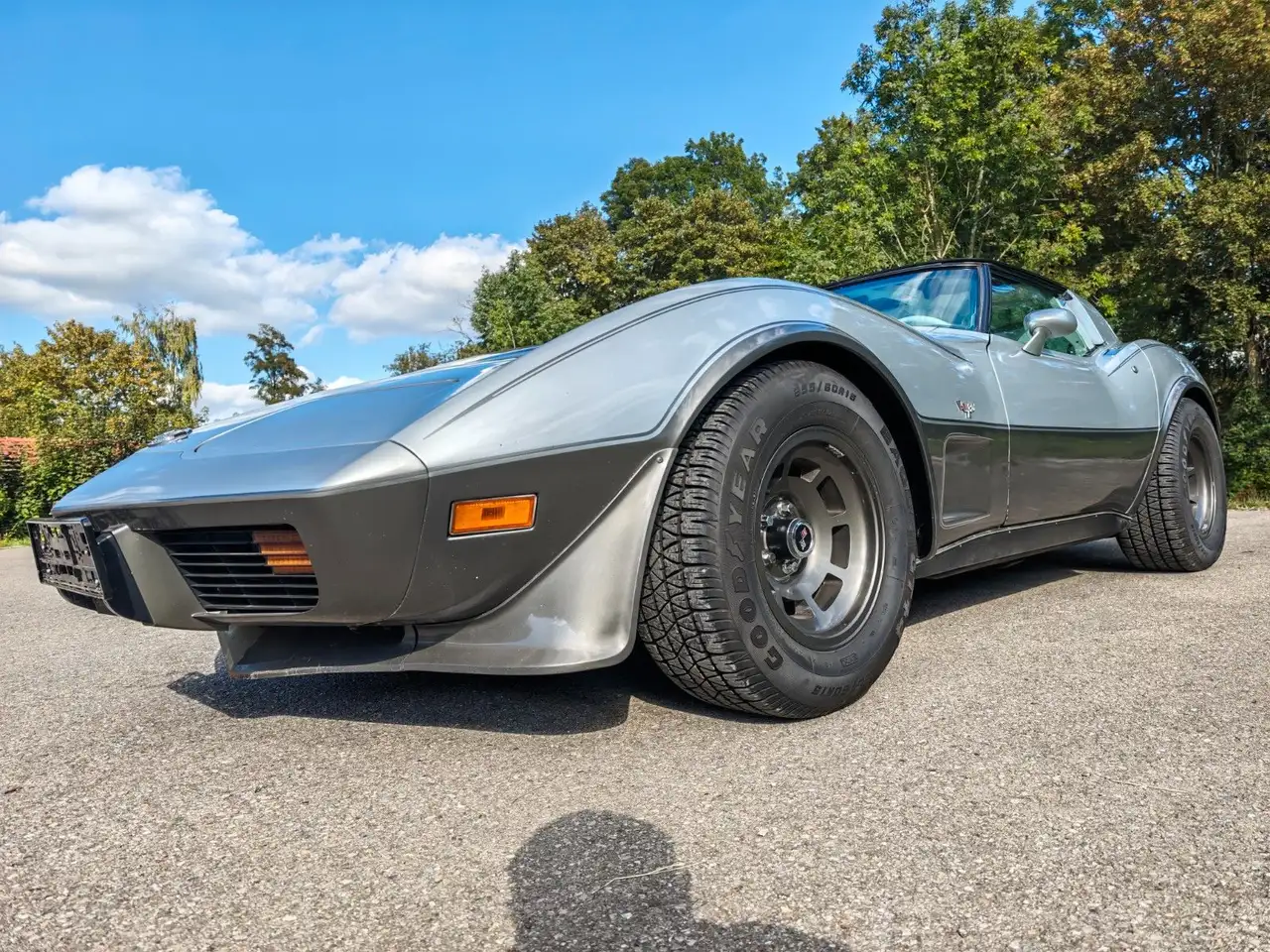 Chevrolet Corvette Stingray C3 5.7 25 Anniversary, foto 3