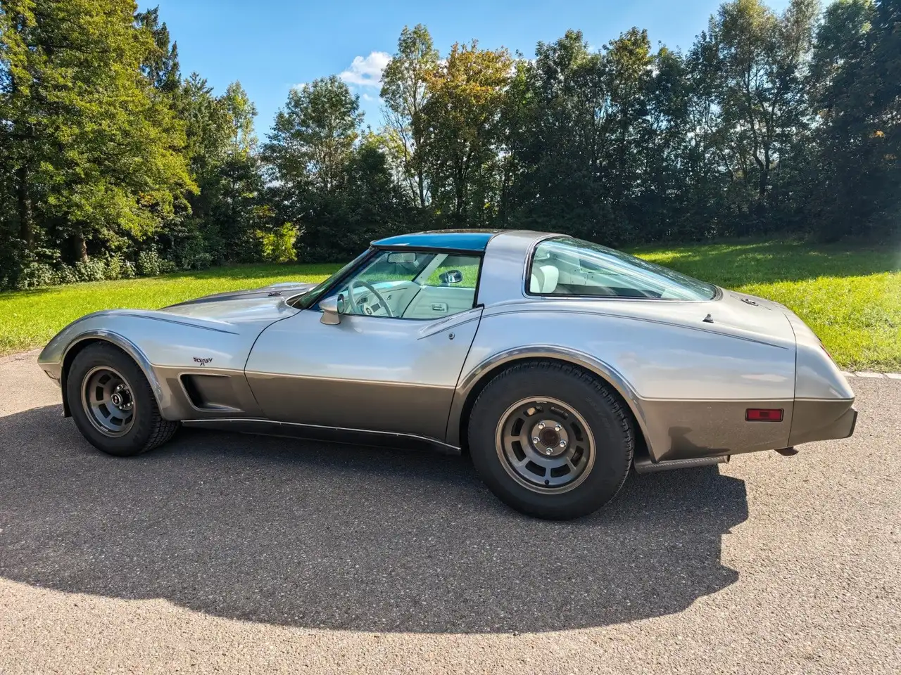 Chevrolet Corvette Stingray C3 5.7 25 Anniversary, foto 5