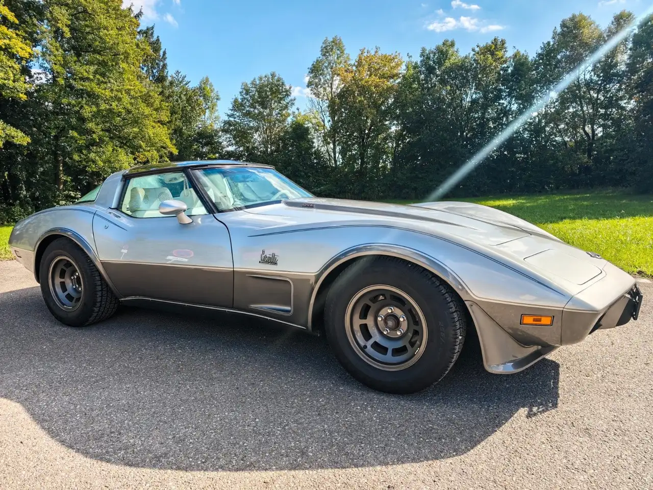 Chevrolet Corvette Stingray C3 5.7 25 Anniversary, foto 4