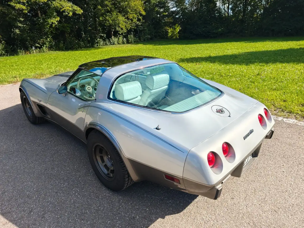 Chevrolet Corvette Stingray C3 5.7 25 Anniversary, foto 6