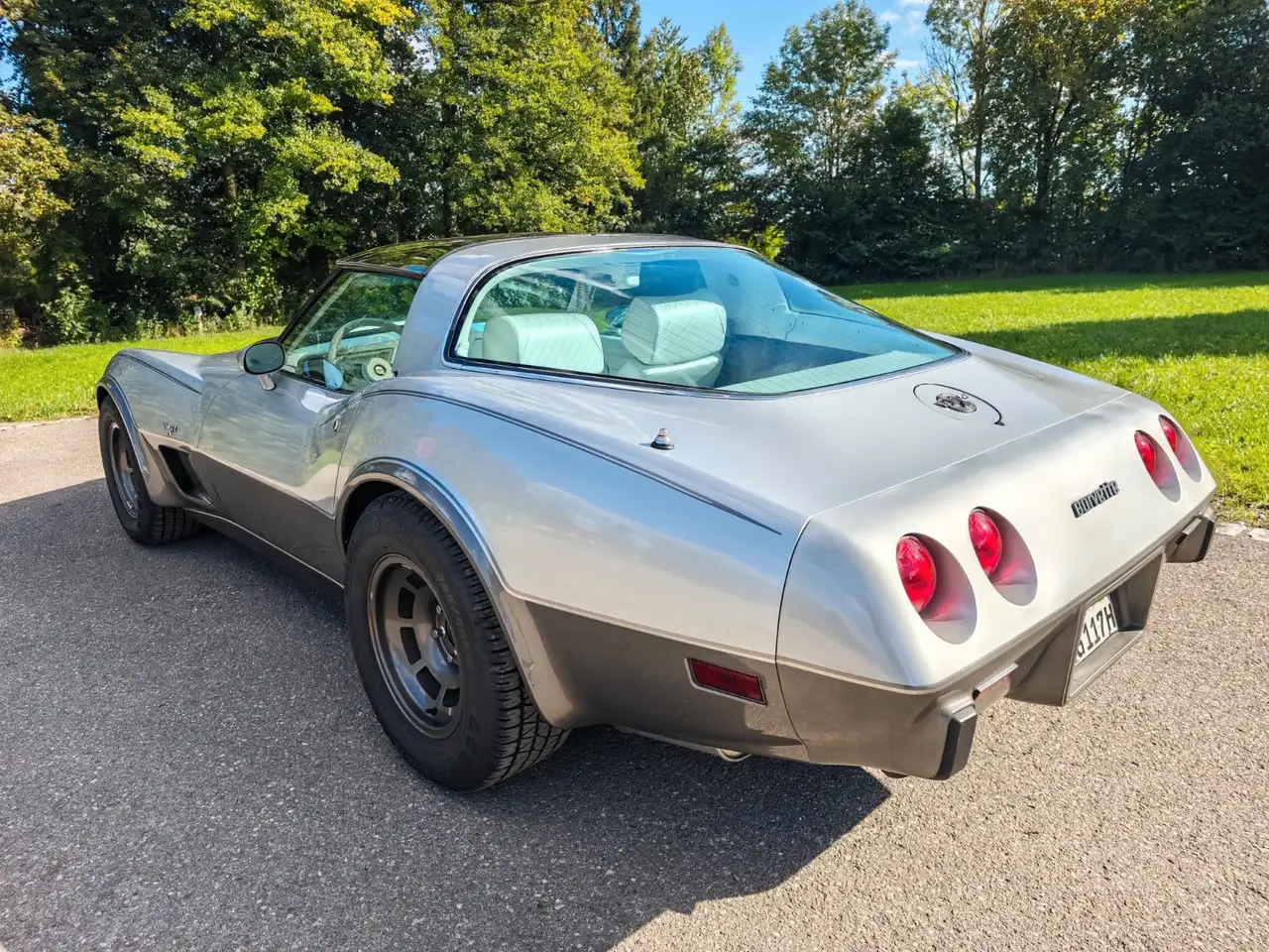 Chevrolet Corvette Stingray C3 5.7 25 Anniversary, foto 7