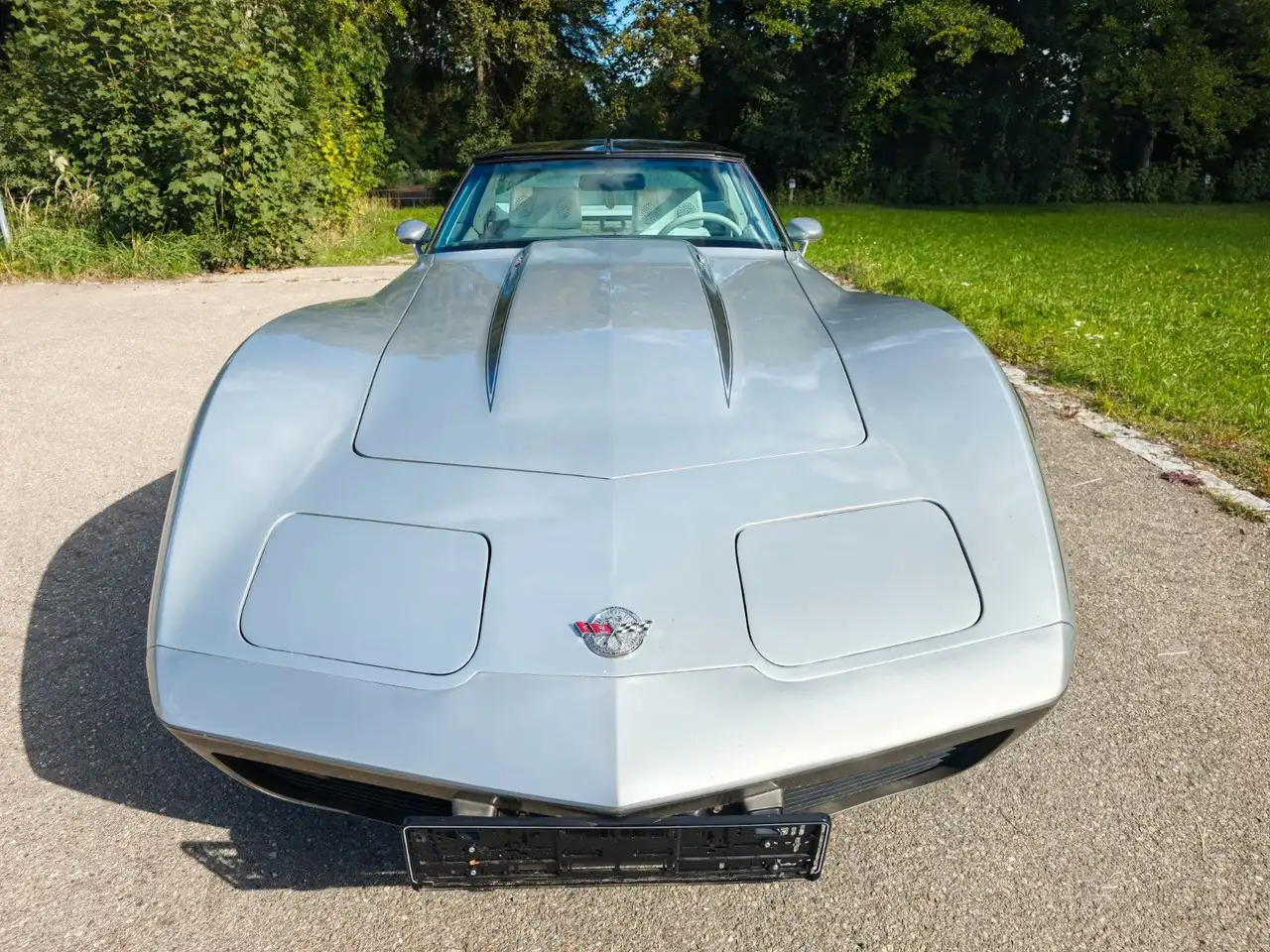 Chevrolet Corvette Stingray C3 5.7 25 Anniversary, foto 2