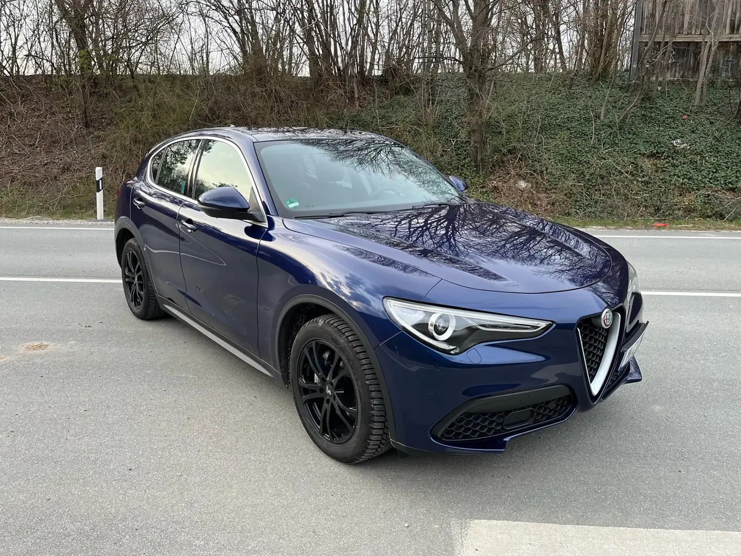 Alfa Romeo Stelvio 2.2 Diesel 16V AT8 Blau - 1