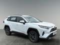 Toyota RAV 4 Active Drive 2,5, 222 PS 4x4 Hybrid Blanco - thumbnail 7