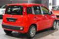 Fiat Panda 1.0 FireFly S&S Hybrid Easy Rouge - thumbnail 5