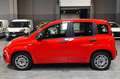 Fiat Panda 1.0 FireFly S&S Hybrid Easy Rouge - thumbnail 7