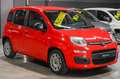 Fiat Panda 1.0 FireFly S&S Hybrid Easy Rouge - thumbnail 3