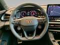 CUPRA Terramar VZ TSI DSG 4D *MATRIX*AHK*ACC*DCC*360* Violett - thumbnail 12
