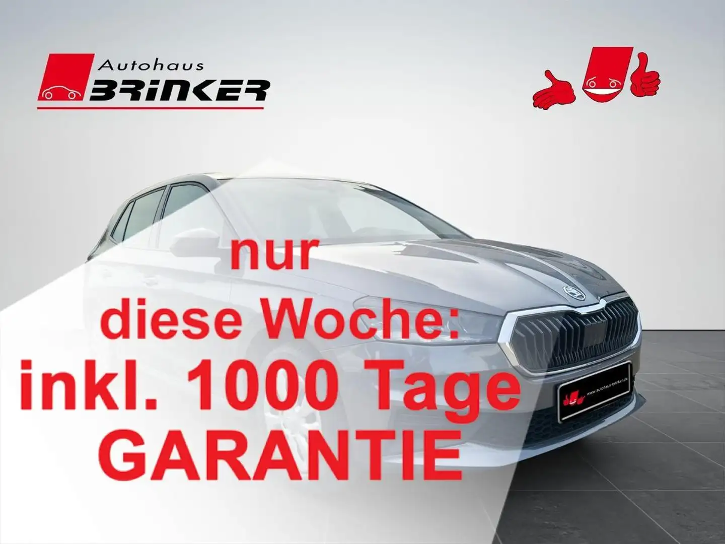 Skoda Fabia Activ 1.0 MPI SmartLink Klima Sitzhz LED Grau - 1