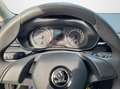Skoda Fabia Activ 1.0 MPI SmartLink Klima Sitzhz LED Grigio - thumbnail 13