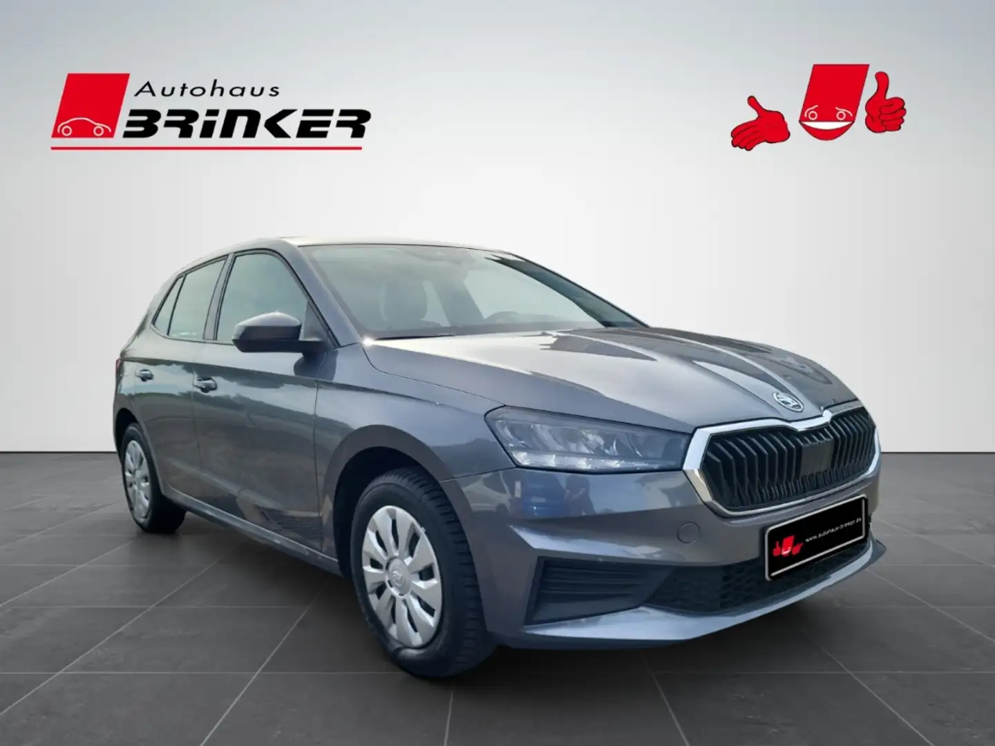 Skoda Fabia Active 1.0 MPI EU6d LED Sperrdiff. Apple CarPlay A Grau - 1