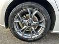 Ford Focus 1.5 EcoBlue 120ch ST-Line Grau - thumbnail 12