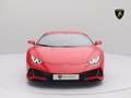 Lamborghini Huracán EVO I LOGE ZV I CARBON SKIN Rot - thumbnail 4