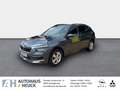 Skoda Kamiq Ambition 1.0 TSI EU6d-T LED Sperrdiff. El. Heckkla Grau - thumbnail 1