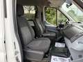 Ford Transit 350 96kW L3H2 Kombi Ambiente Delantera Blanco - thumbnail 12