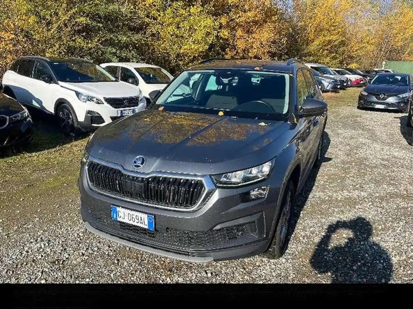 Skoda Kodiaq 2021 2.0 tdi evo Executive 4x4 dsg 7pti - GJ069AL Grau - 2