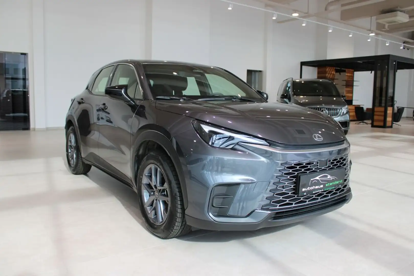 Lexus Sonstige D Basis Grau - 1