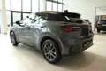 Lexus Sonstige D Basis Grau - thumbnail 5