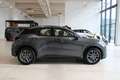 Lexus Sonstige D Basis Grau - thumbnail 4