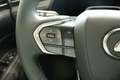 Lexus Sonstige D Basis Grau - thumbnail 15