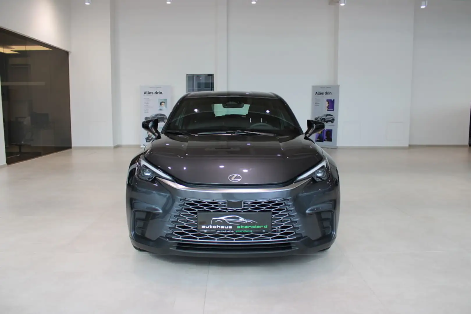 Lexus Sonstige D Basis Grau - 2