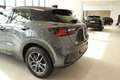 Lexus Sonstige D Basis Grau - thumbnail 6