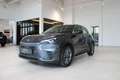 Lexus Sonstige D Basis Grau - thumbnail 3