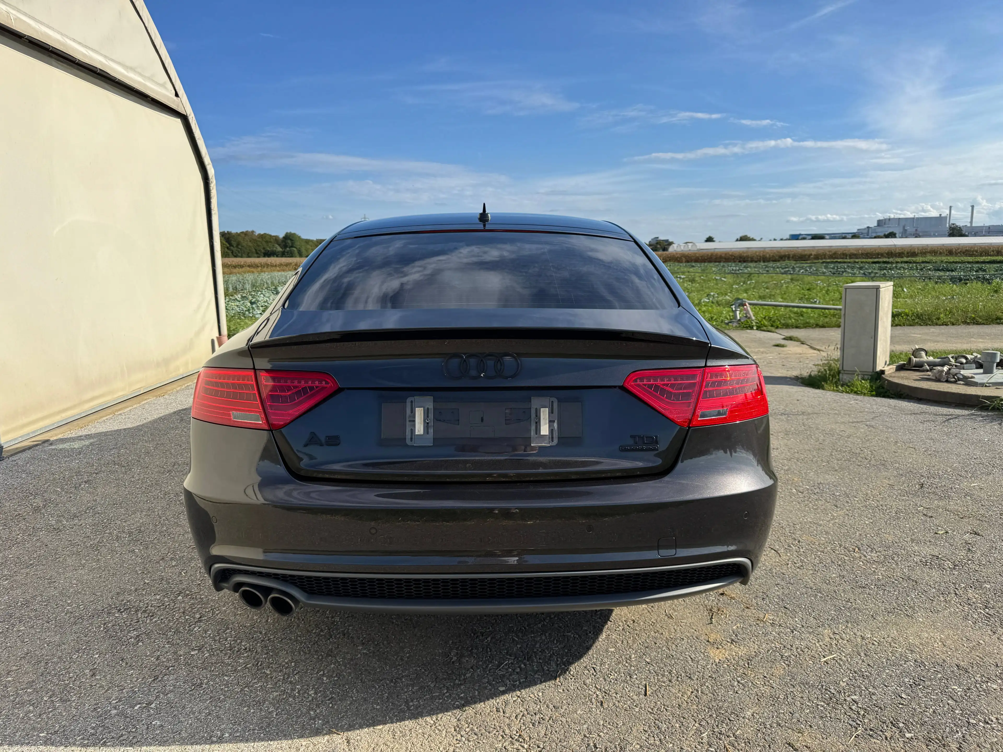 Audi A5 3,0 TDI quattro Sportback clean diesel S-tronic *S-Line; ACC; Side Assist uvm.* — photo 5