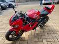 Triumph Daytona 675 Rouge - thumbnail 3