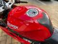 Triumph Daytona 675 Rouge - thumbnail 8