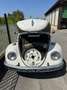 Volkswagen Maggiolino Vetropiatto - thumbnail 7
