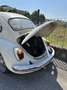 Volkswagen Maggiolino Vetropiatto - thumbnail 4