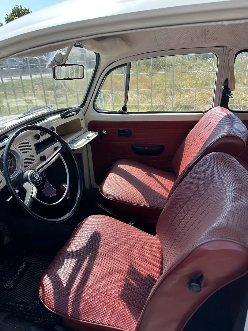 Volkswagen Maggiolino Vetropiatto - 2