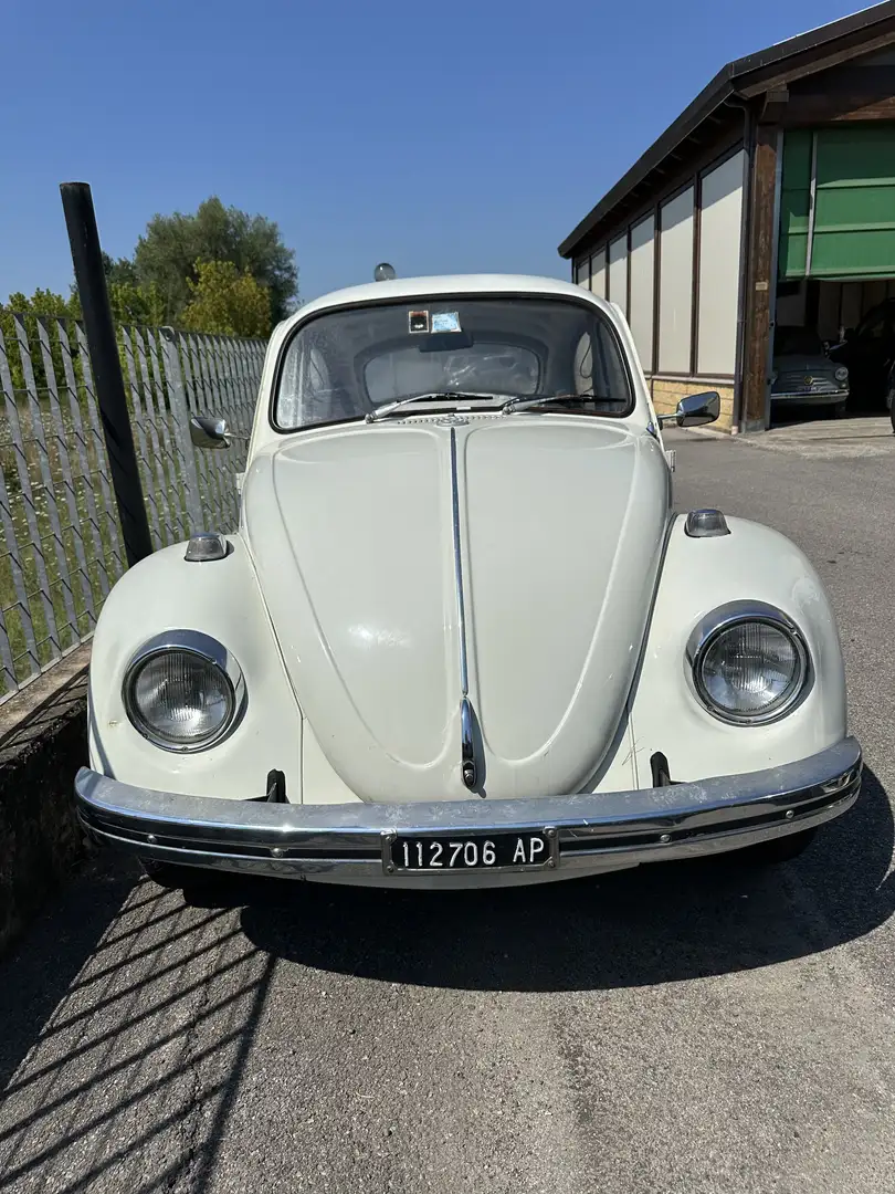 Volkswagen Maggiolino Vetropiatto - 1