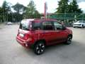 Fiat Panda 1.0 Hybrid 70 CV Cross KM 0 Rosso - thumbnail 2