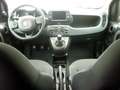 Fiat Panda 1.0 Hybrid 70 CV Cross KM 0 Rosso - thumbnail 11