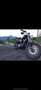 Harley-Davidson XL 883 Černá - thumbnail 4
